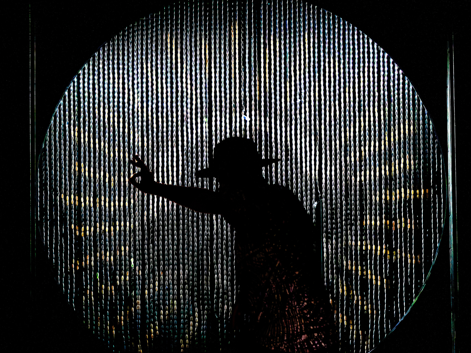 A Freeky Introduction: What to expect - 5