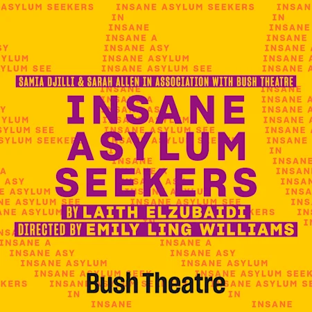 Insane Asylum Seekers