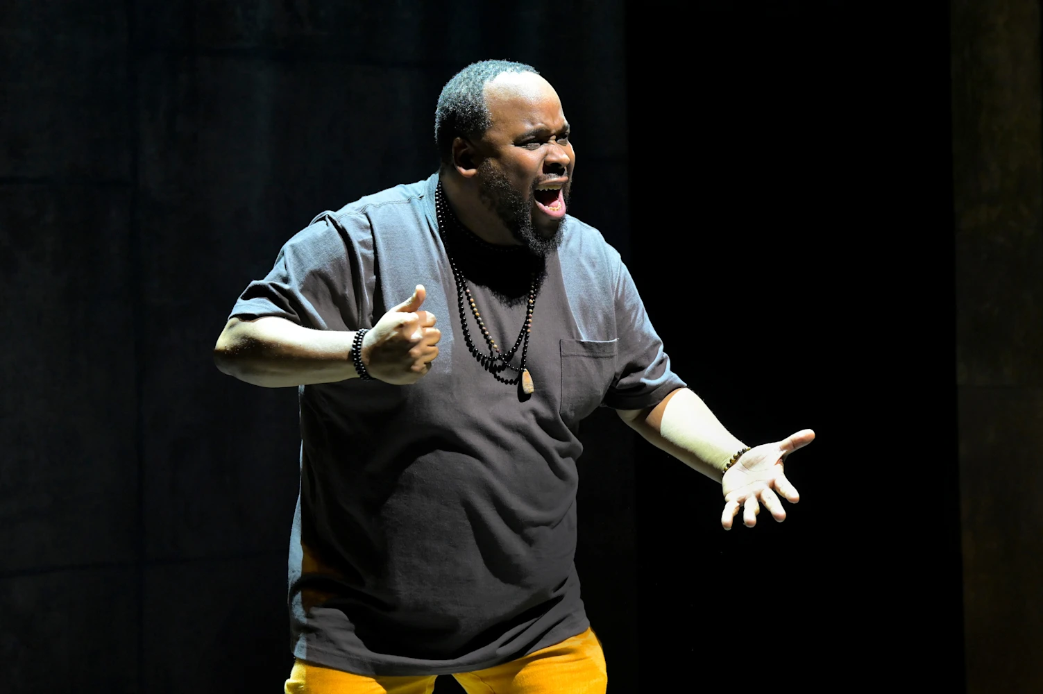 How Shakespeare Saved My Life: What to expect - 3