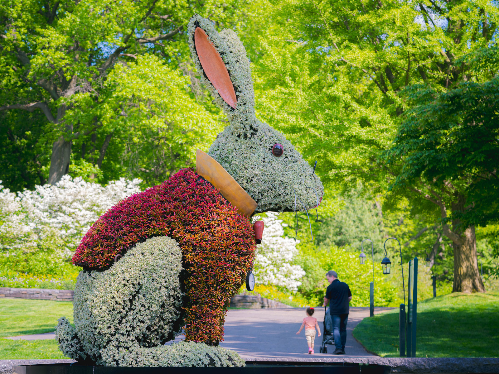 Wonderland: Curious Nature: What to expect - 1