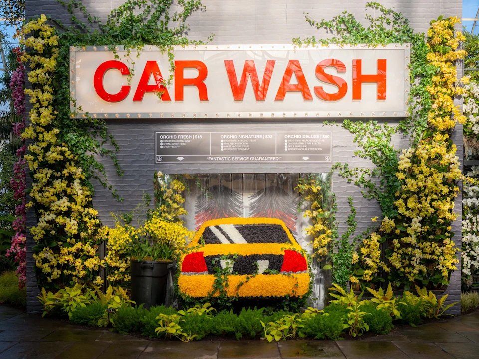 The Orchid Show: Mr. Flower Fantastic's Concrete Jungle: What to expect - 1