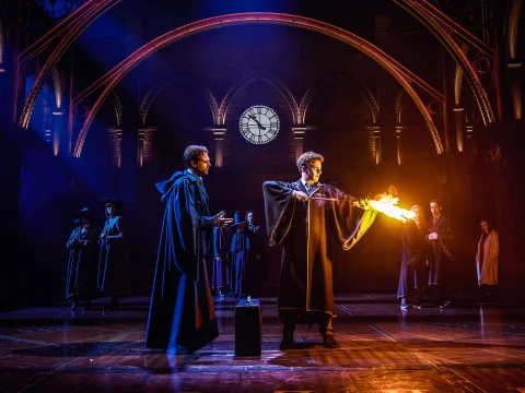 Harry Potter and the Cursed Child: What to expect - 3