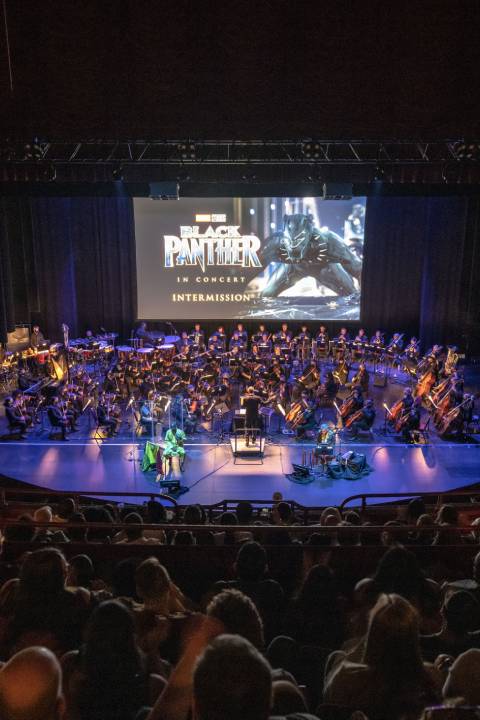 Marvel Studios’ Black Panther in Concert in 