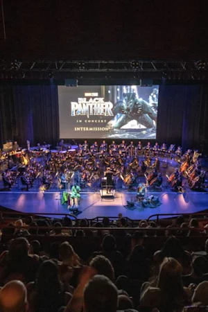 Marvel Studios’ Black Panther in Concert tickets
