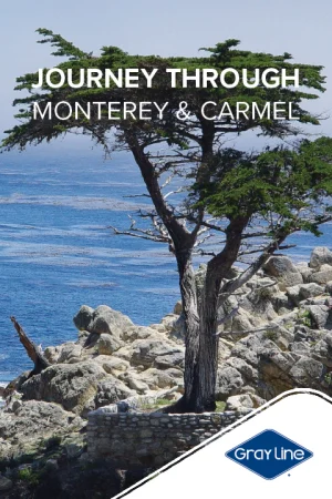Monterey, Carmel & 17-Mile Full Day Tour tickets