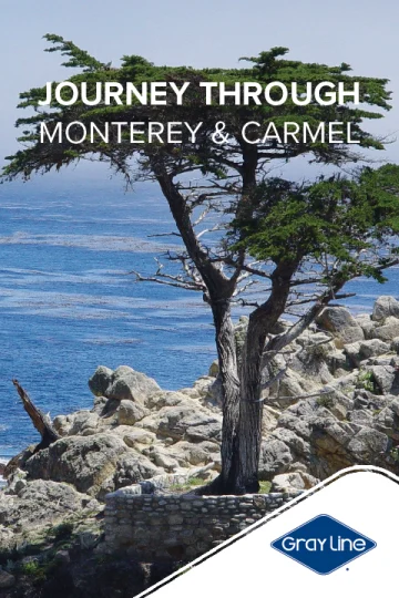 Monterey, Carmel & 17-Mile Full Day Tour tickets