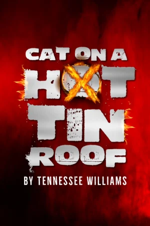 Cat on a Hot Tin Roof 