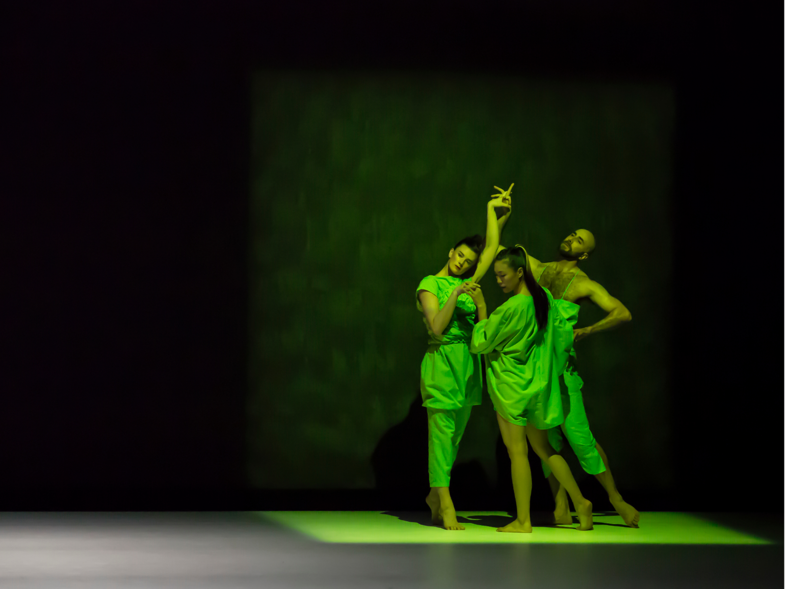 Netta Yerushalmy: Movement: What to expect - 4