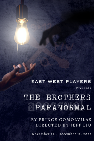 The Brother's Paranormal