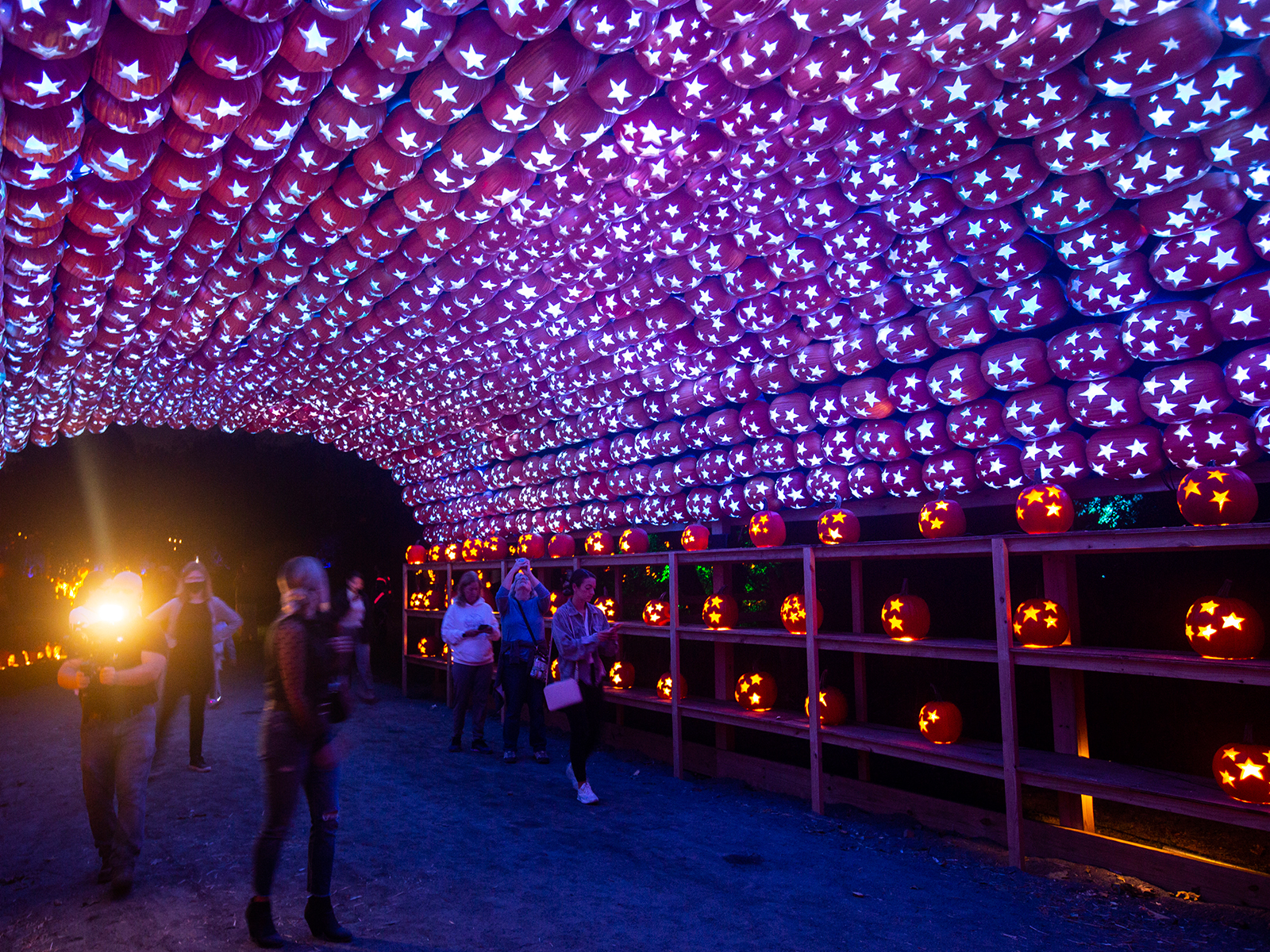 The Great Jack O’Lantern Blaze: Long Island: What to expect - 5