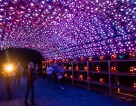 The Great Jack O’Lantern Blaze: Long Island: What to expect - 5