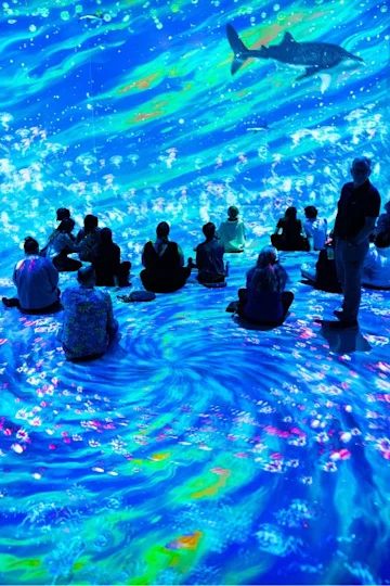 ARTECHOUSE - Twilight Zone: Hidden Wonders of the Ocean Tickets