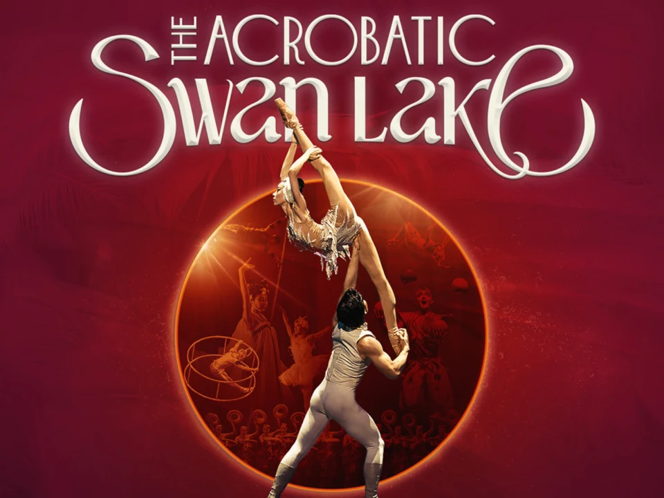 The Acrobatic Swan Lake: What to expect - 1