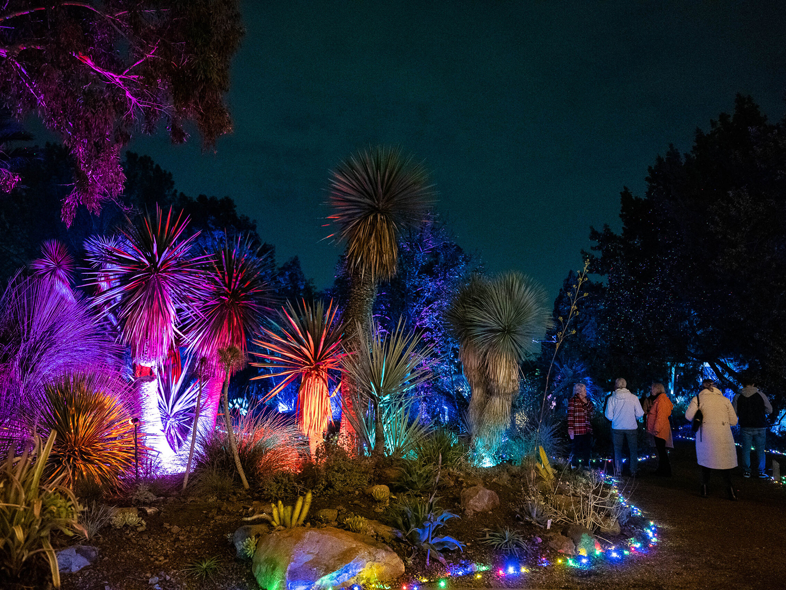 Garden of D’Lights: What to expect - 1