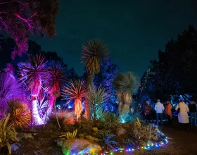 Garden of D’Lights: What to expect - 1