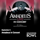 Amadeus in Concert