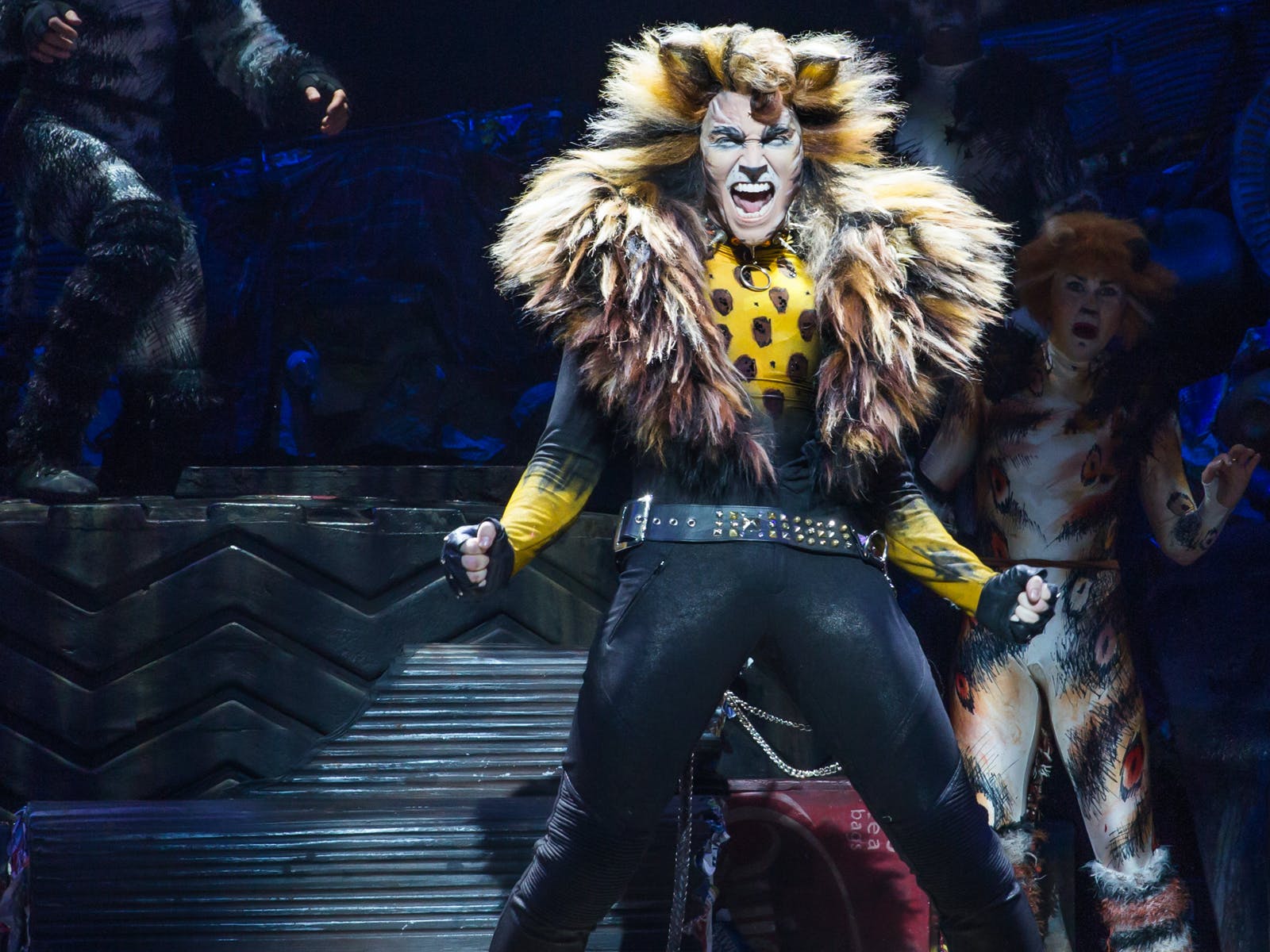 CATS: What to expect - 5