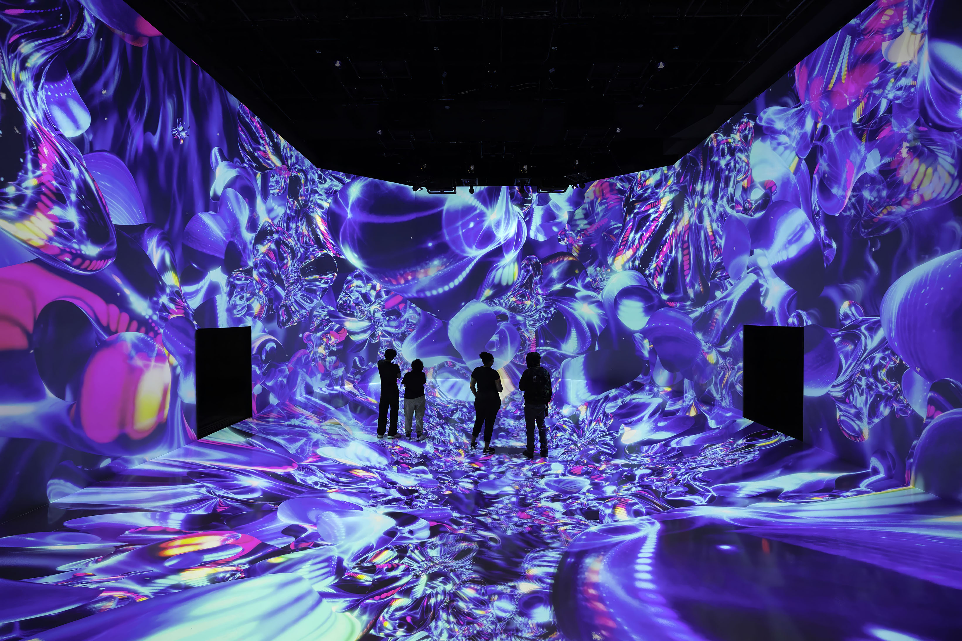 ARTECHOUSE - Twilight Zone: Hidden Wonders of the Ocean: What to expect - 4