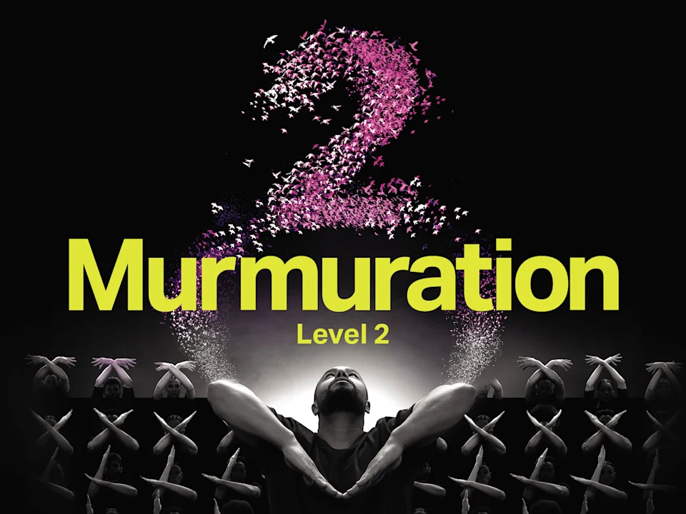 Murmuration Level 2: What to expect - 1