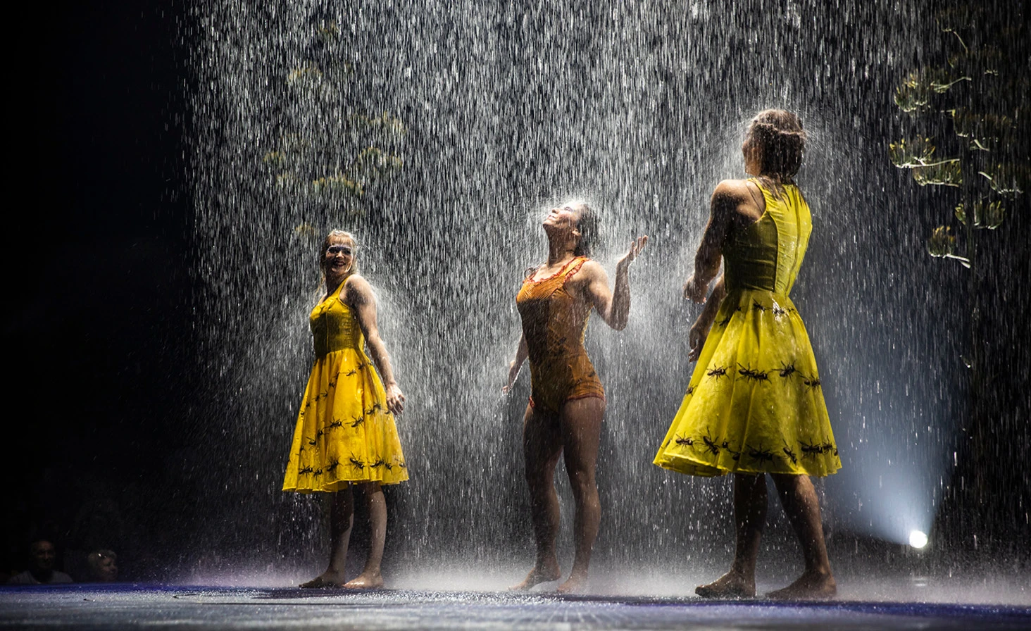 Cirque du Soleil: LUZIA: What to expect - 7