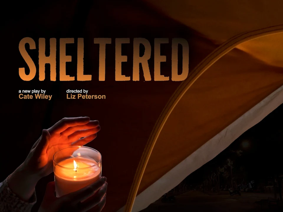 Sheltered: What to expect - 1