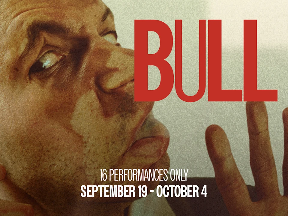 Bull: What to expect - 1