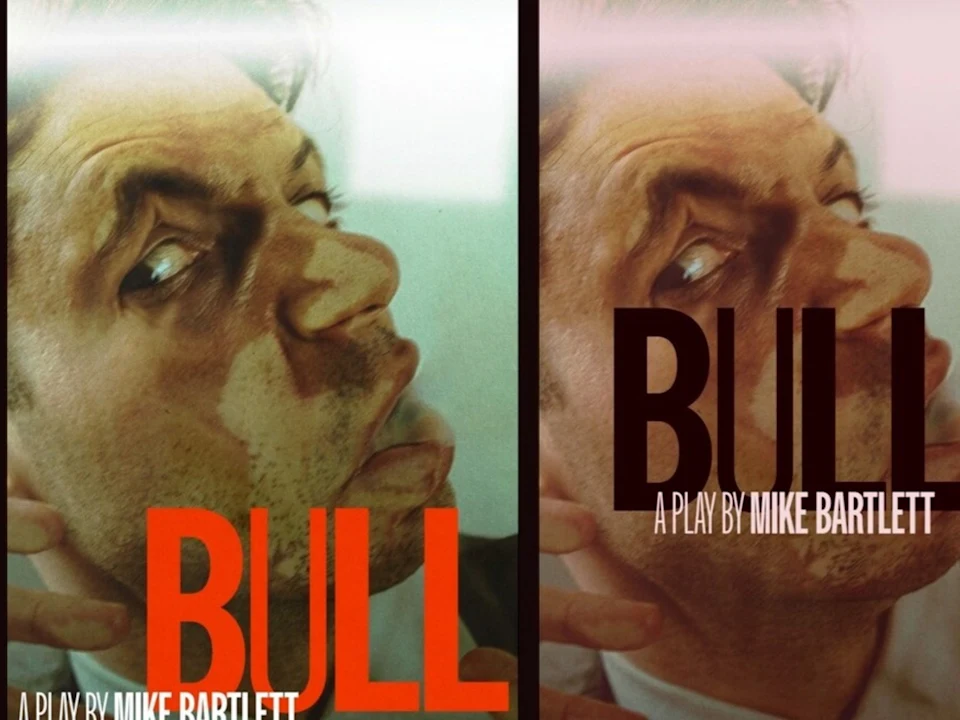 Bull: What to expect - 1