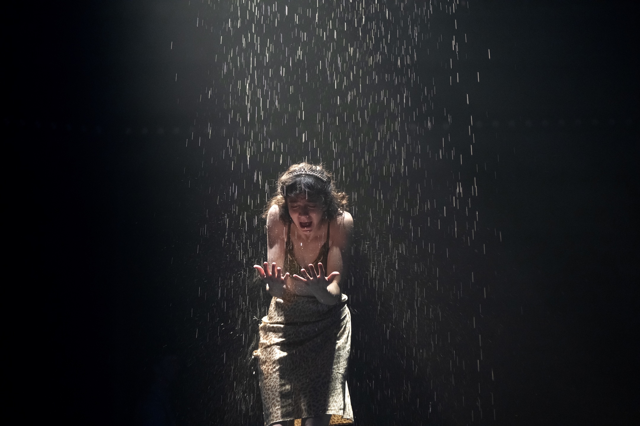 A Streetcar Named Desire: What to expect - 3