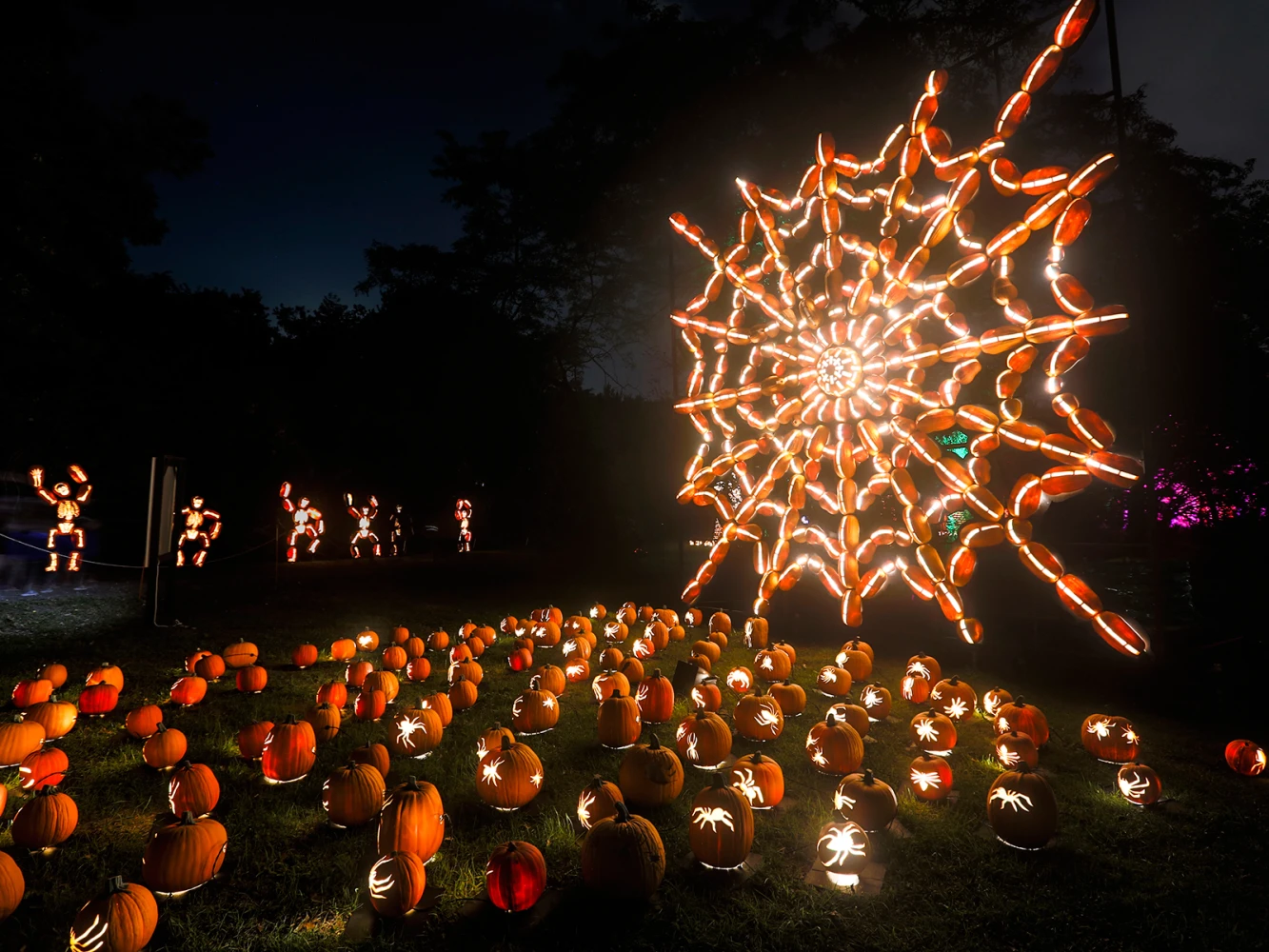 The Great Jack O’Lantern Blaze: Long Island: What to expect - 4