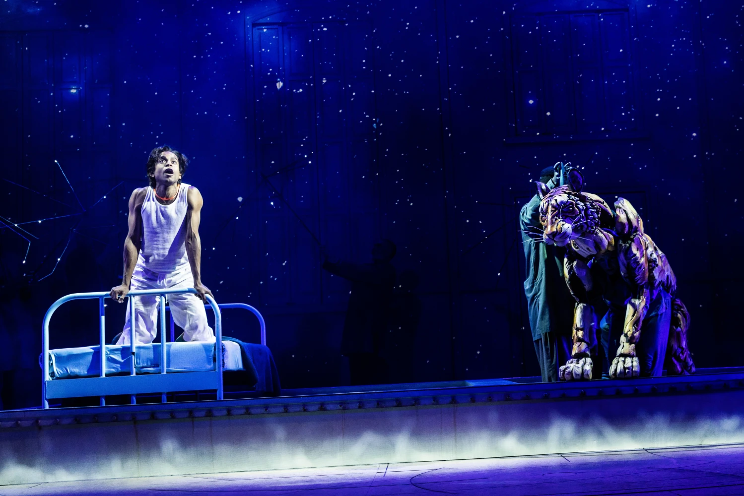 Life of Pi on Broadway: What to expect - 7