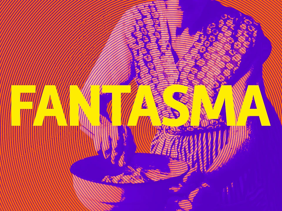 Fantasma: What to expect - 1