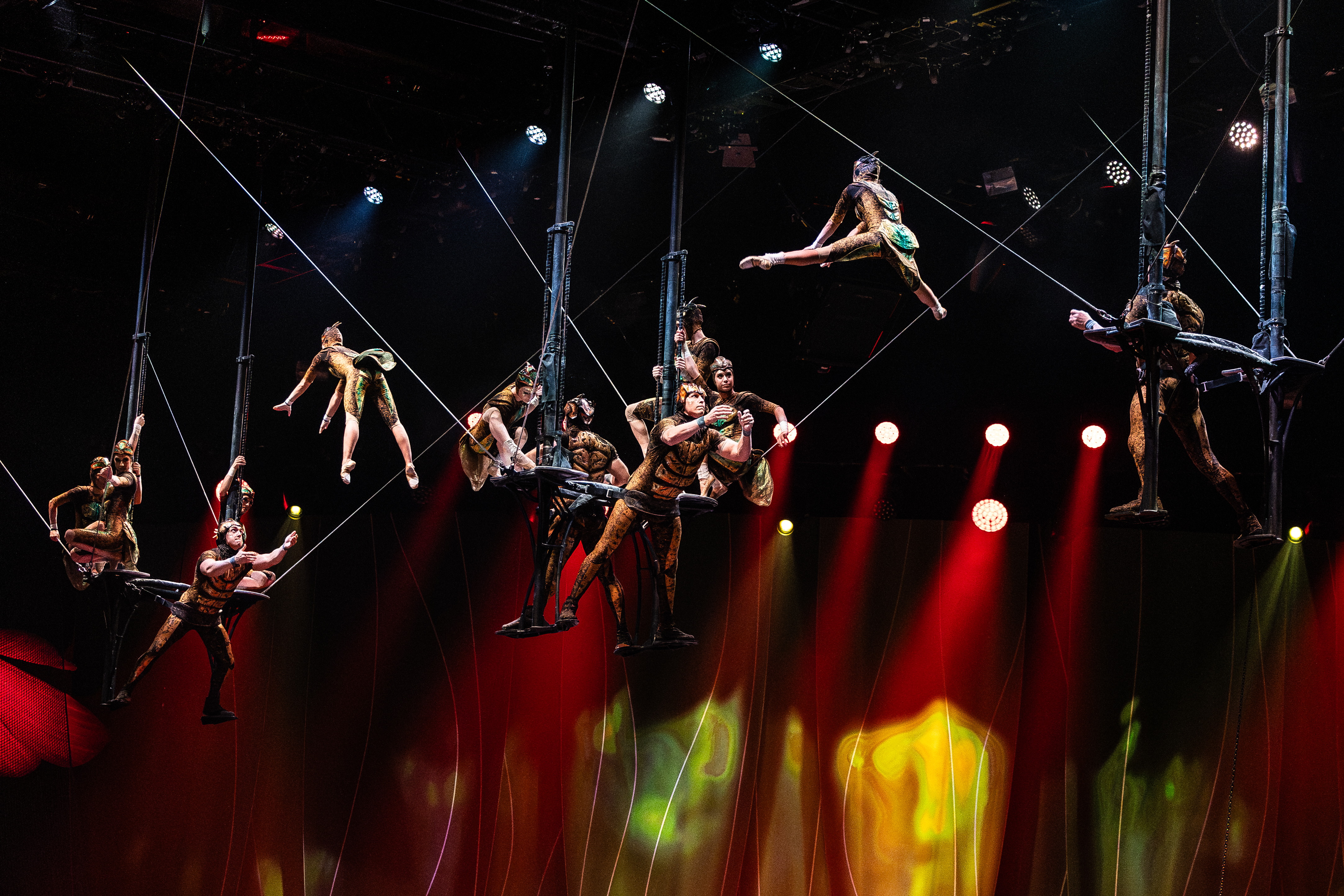 Cirque du Soleil - Ovo