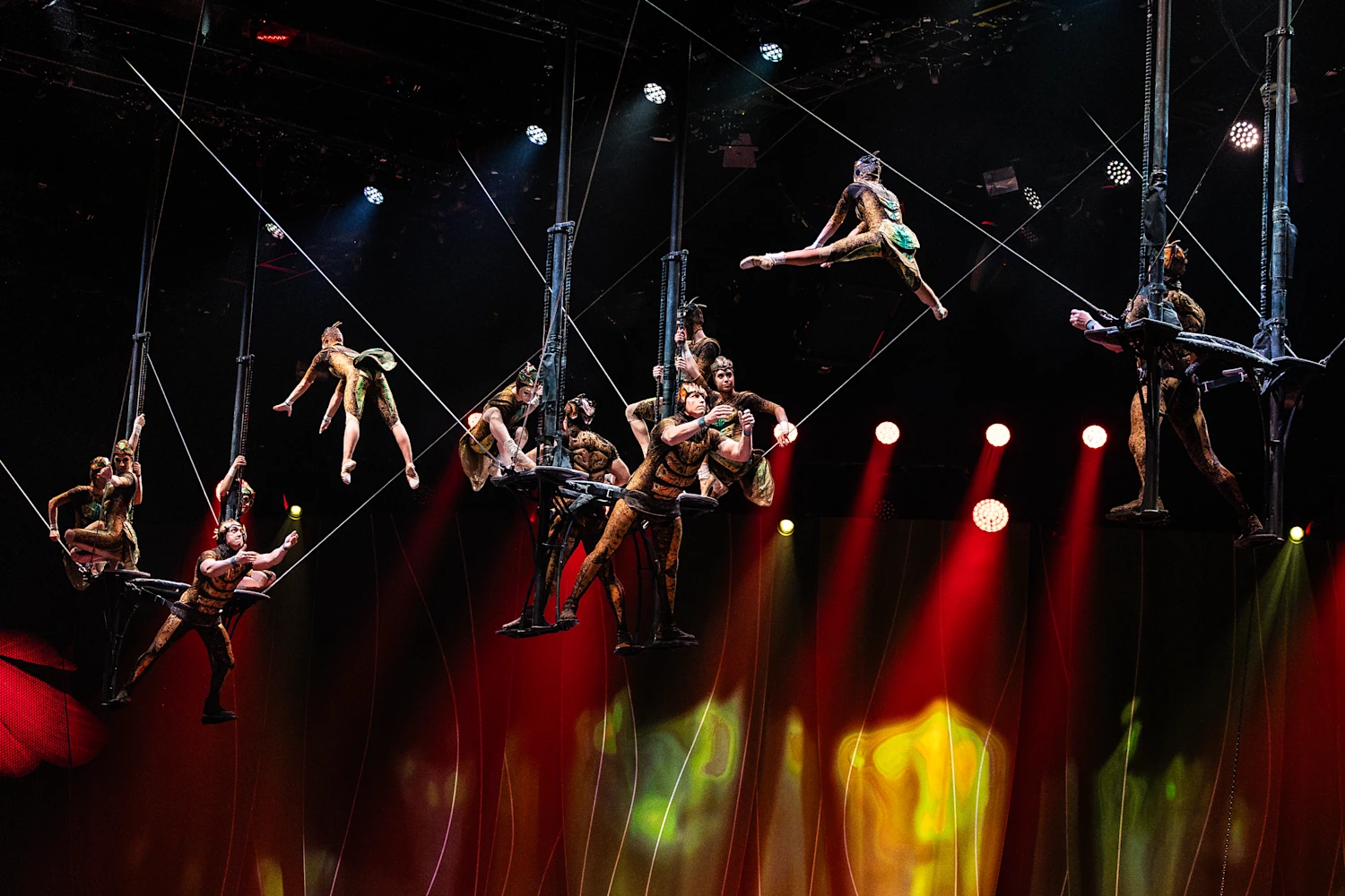 Cirque du Soleil - Ovo: What to expect - 4