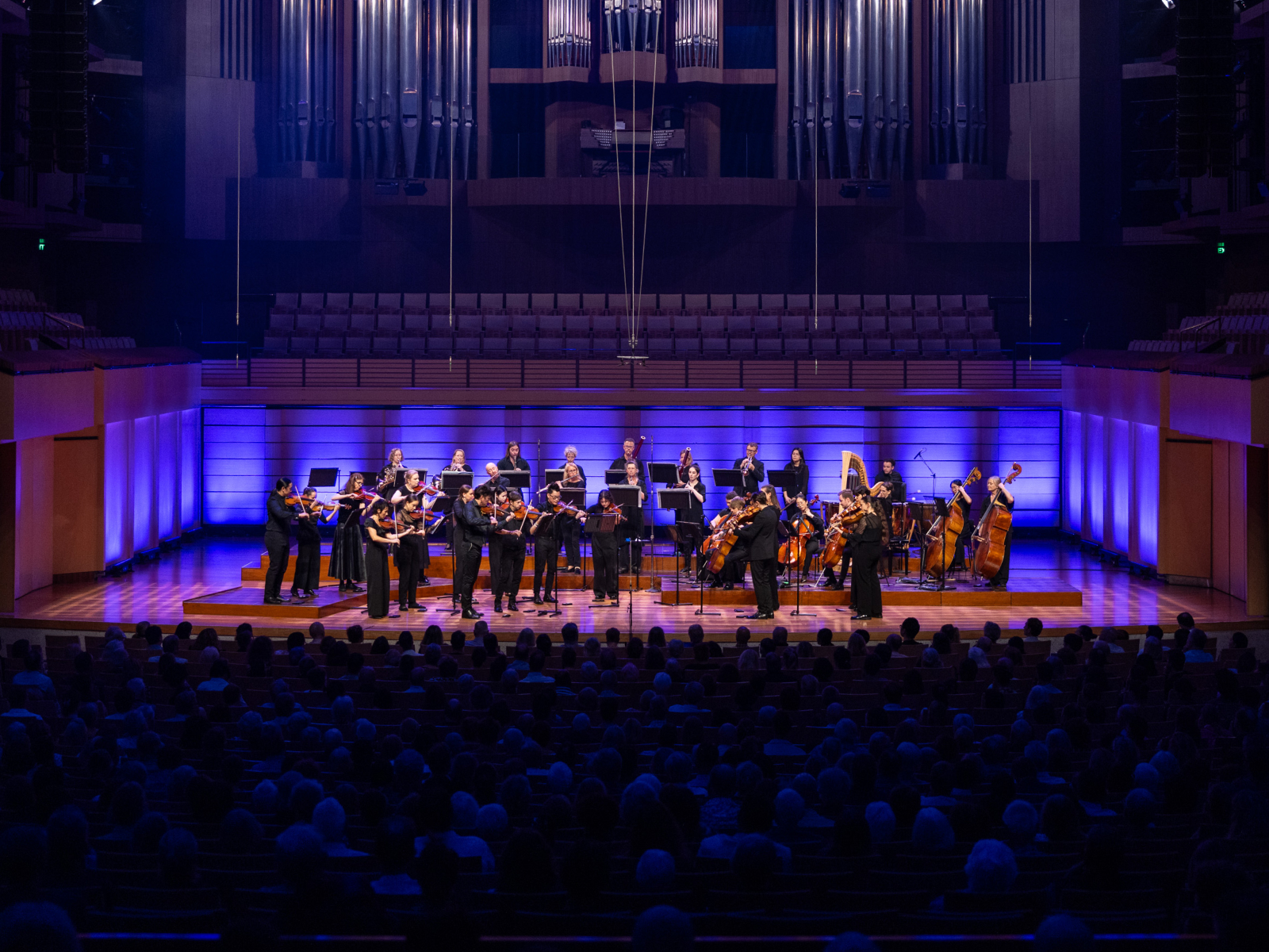 Camerata: Your Eternal Memories: What to expect - 2