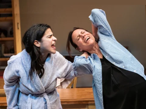 Production shot of Problems Between Sisters in Washington, DC with Annie Fox as Rory and Stephanie Janssen as Jess in bathrobes fighting in a kitchen. 