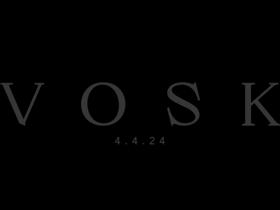 VOSK: What to expect - 1