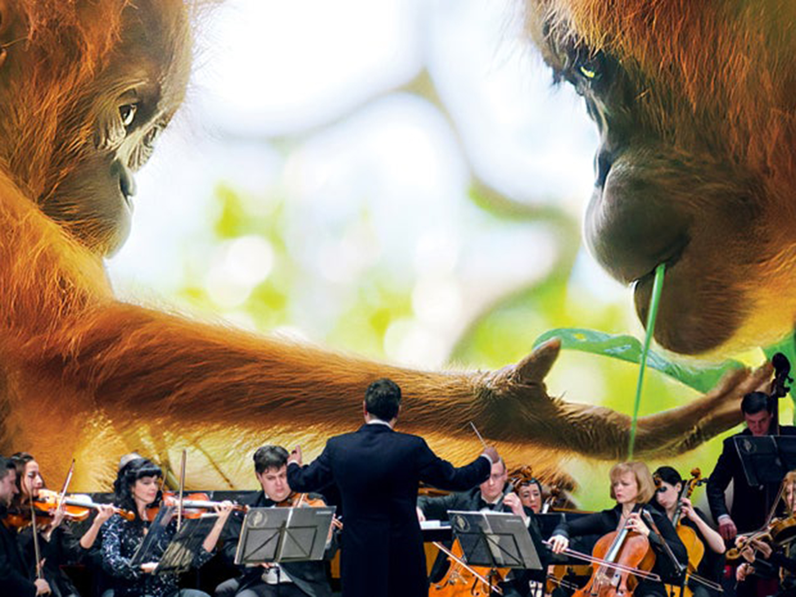 Our Planet Live in Concert: What to expect - 1