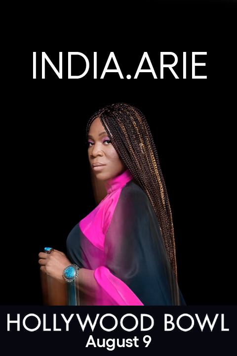 India.Arie show poster
