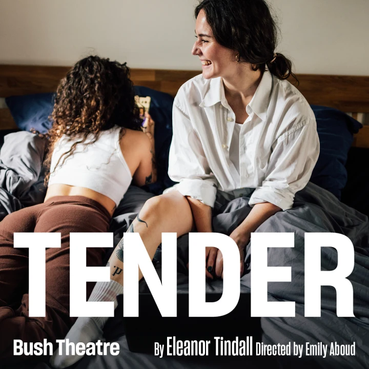 Tender: What to expect - 1
