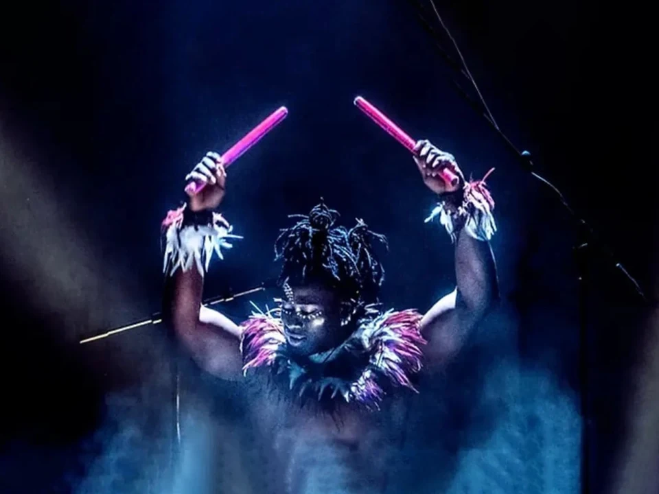 Afrique en Cirque: What to expect - 1