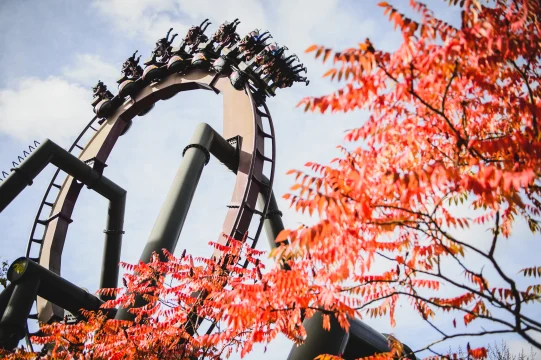 Thorpe Park Standard One Day Entry: What to expect - 2