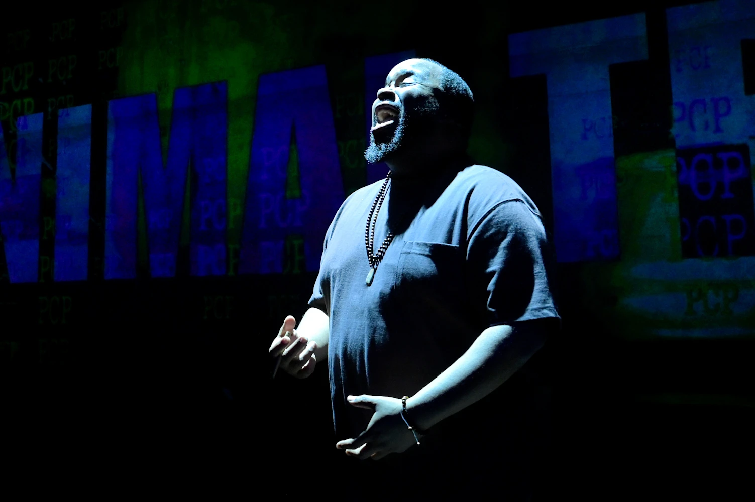 How Shakespeare Saved My Life: What to expect - 2