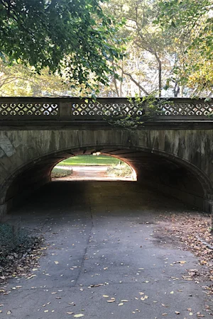 NYC Horror Movie Location Filming Tour tickets