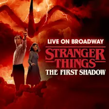 Stranger Things: The First Shadow artwork