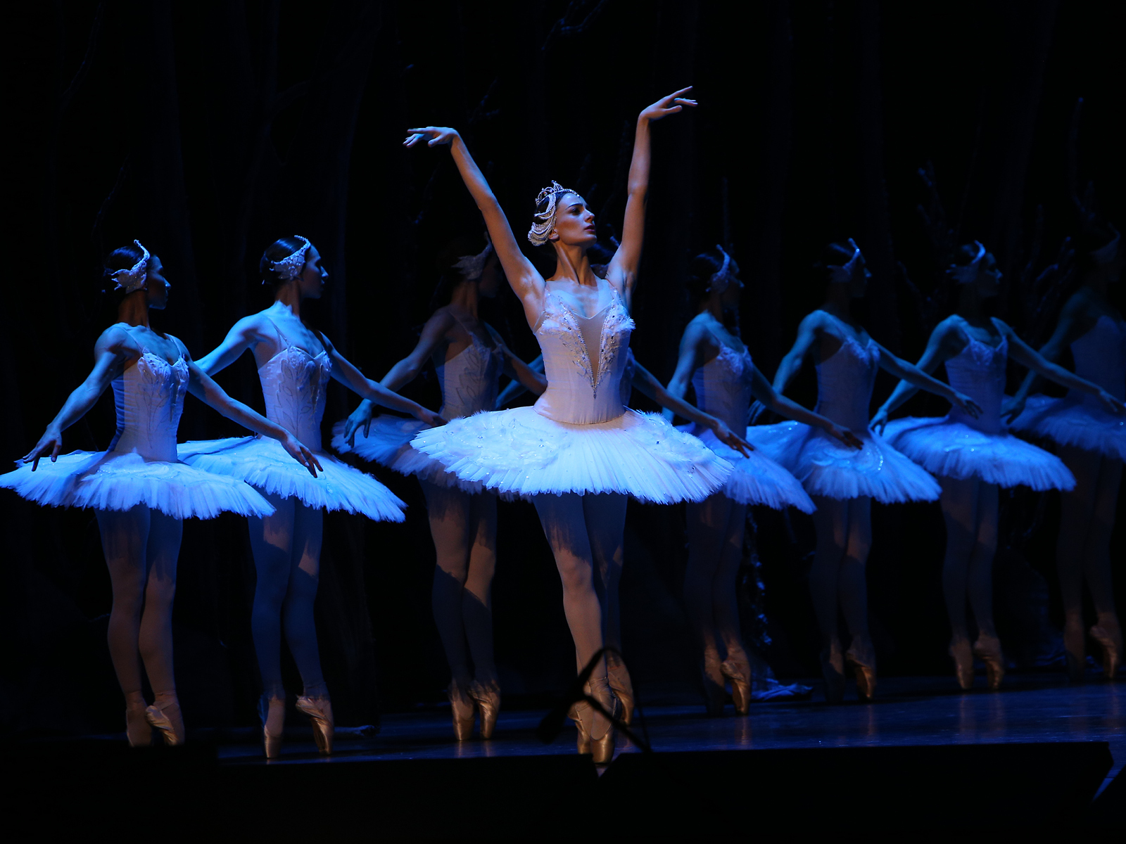 Swan Lake by The State Ballet of Georgia