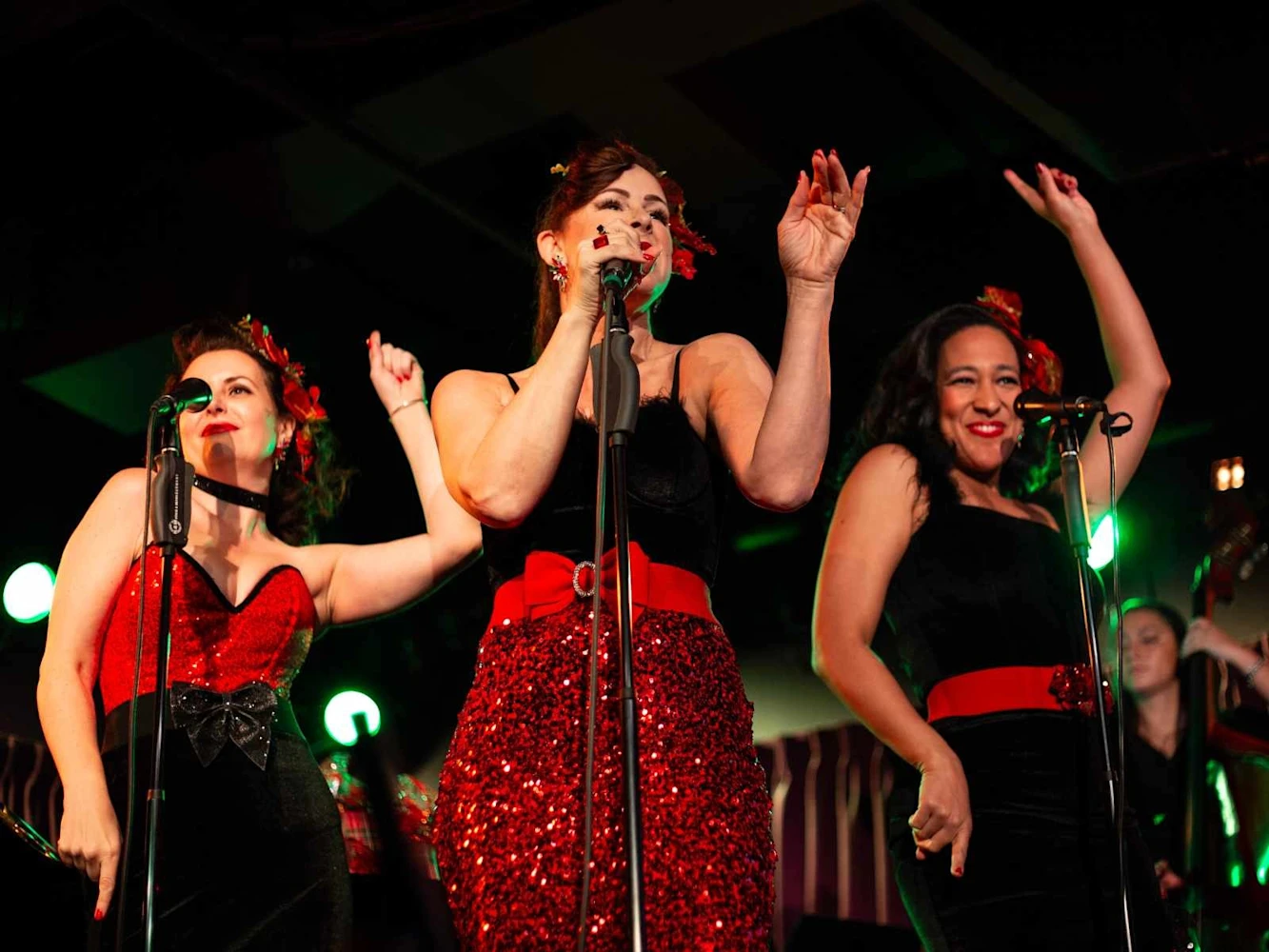 The Randy Andys Spring Swing: ONE NIGHT ONLY!: What to expect - 4