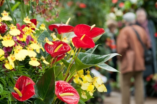 Kew Gardens from 1st Apr: What to expect - 1