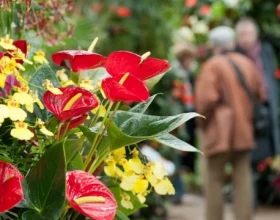 Kew Gardens from 1st Apr: What to expect - 1