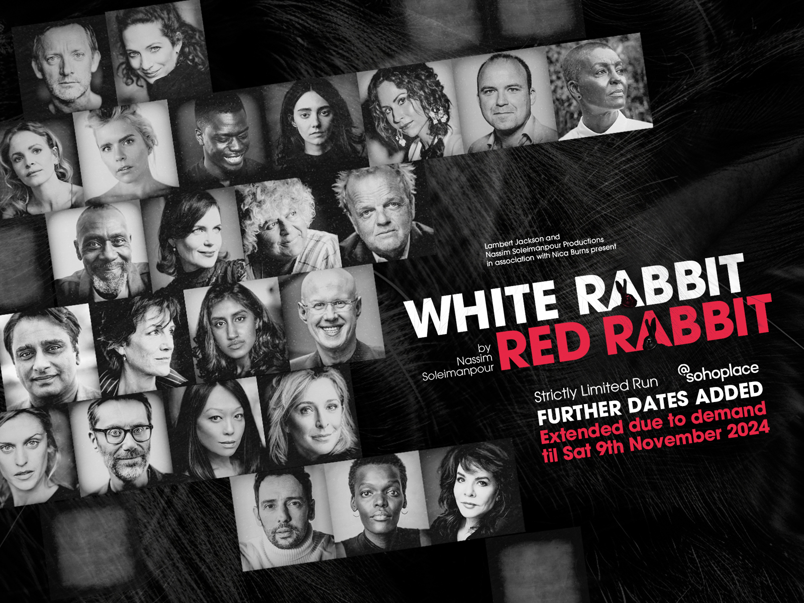 White Rabbit Red Rabbit tickets | London Theatre