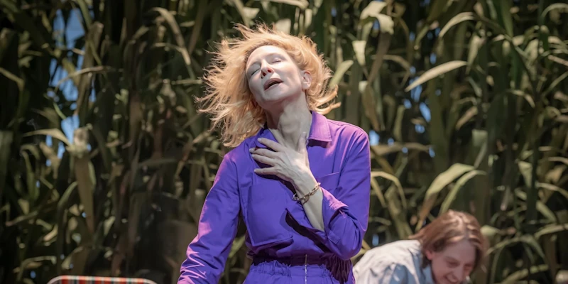 The Seagull, Barbican